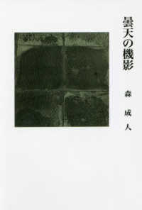 曇天の機影
