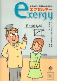 エクセルギー - エネルギーの新しいものさし 電気新聞ブックス