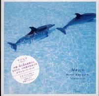 Ｍａｊｕｎ―Ｒｉｎｋｏ　Ｋａｗａｕｃｈｉ　１０　ｐｏｓｔ　ｃａｒｄｓ
