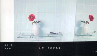 ただ、それがある