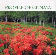 Ｐｒｏｆｉｌｅ　ｏｆ　Ｇｕｎｍａ