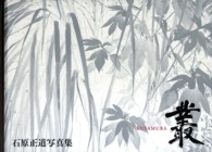叢 - 石原正道写真集