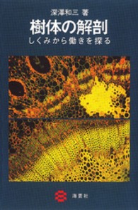 樹体の解剖 - しくみから働きを探る