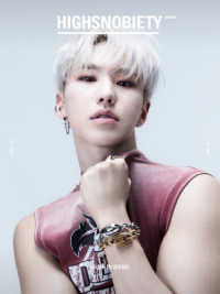 ＨＩＧＨＳＮＯＢＩＥＴＹ　ＪＡＰＡＮ 〈ＩＳＳＵＥ１３＋＋〉 ＨＯＳＨＩ ［バラエティ］