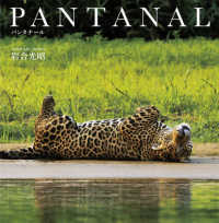 ＰＡＮＴＡＮＡＬ