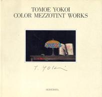 Ｔｏｍｏｅ　Ｙｏｋｏｉ　ｃｏｌｏｒ　ｍｅｚｚｏｔｉｎｔ　ｗｏｒｋｓ