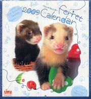 壁掛フェレットカレンダー 〈２００９〉 Ａｎｉｆａ　Ｏｒｉｇｉｎａｌ　Ｃａｌｅｎｄａｒ ［カレンダー］