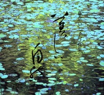 美しい自然 - 藤倉いし子写真集