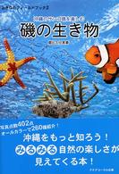 磯の生き物 - 沖縄のサンゴ礁を楽しむ おきなわフィールドブック