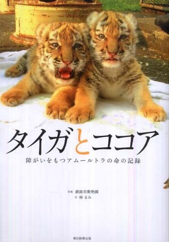 タイガとココア / 釧路市動物園【写真】/林 るみ【文
