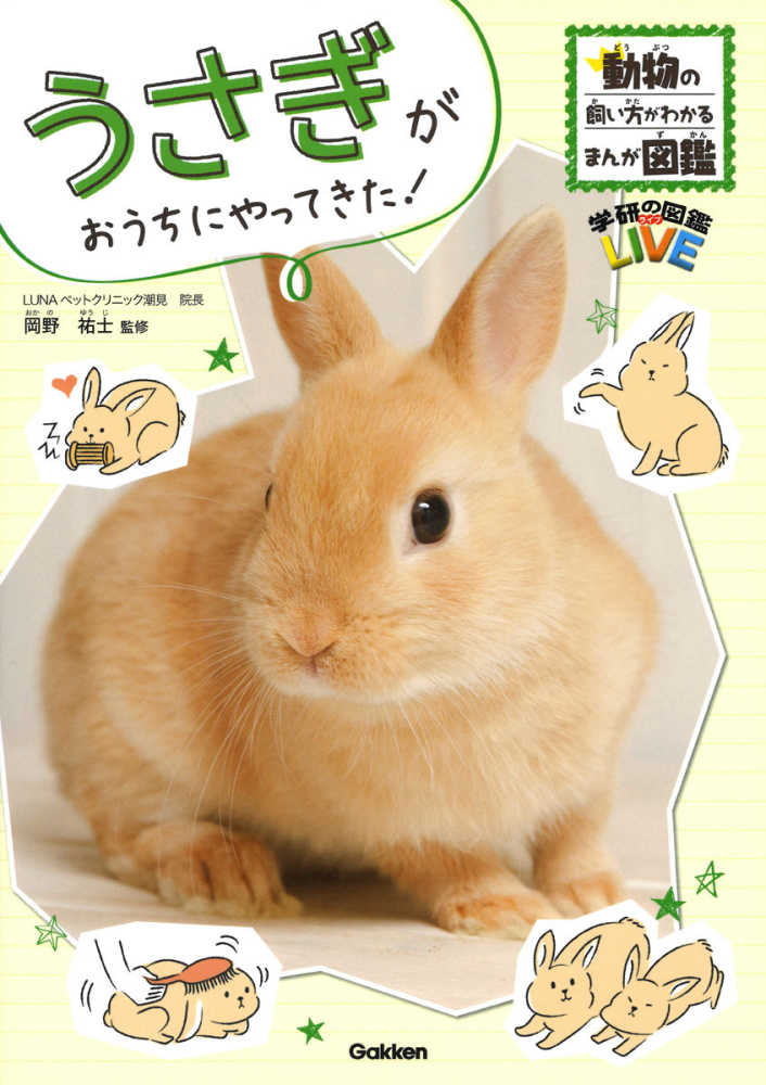 動物の飼い方がわかるまんが図鑑　学研の図鑑ＬＩＶＥ, うさぎがおうちにやってきた！―動物の飼い方がわかるまんが図鑑