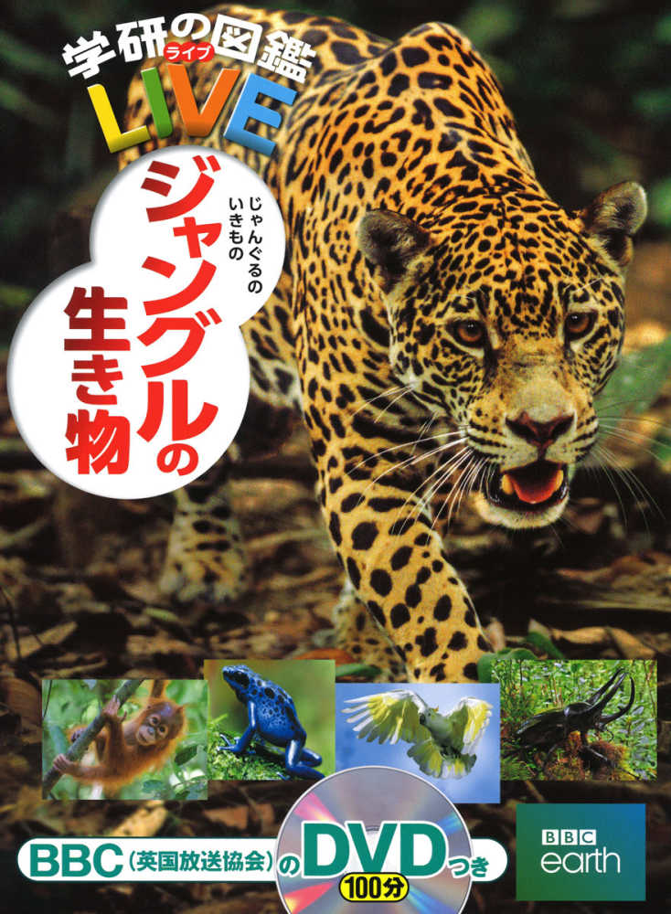 公式通販サイトセール 4052049071.jpg 洋書