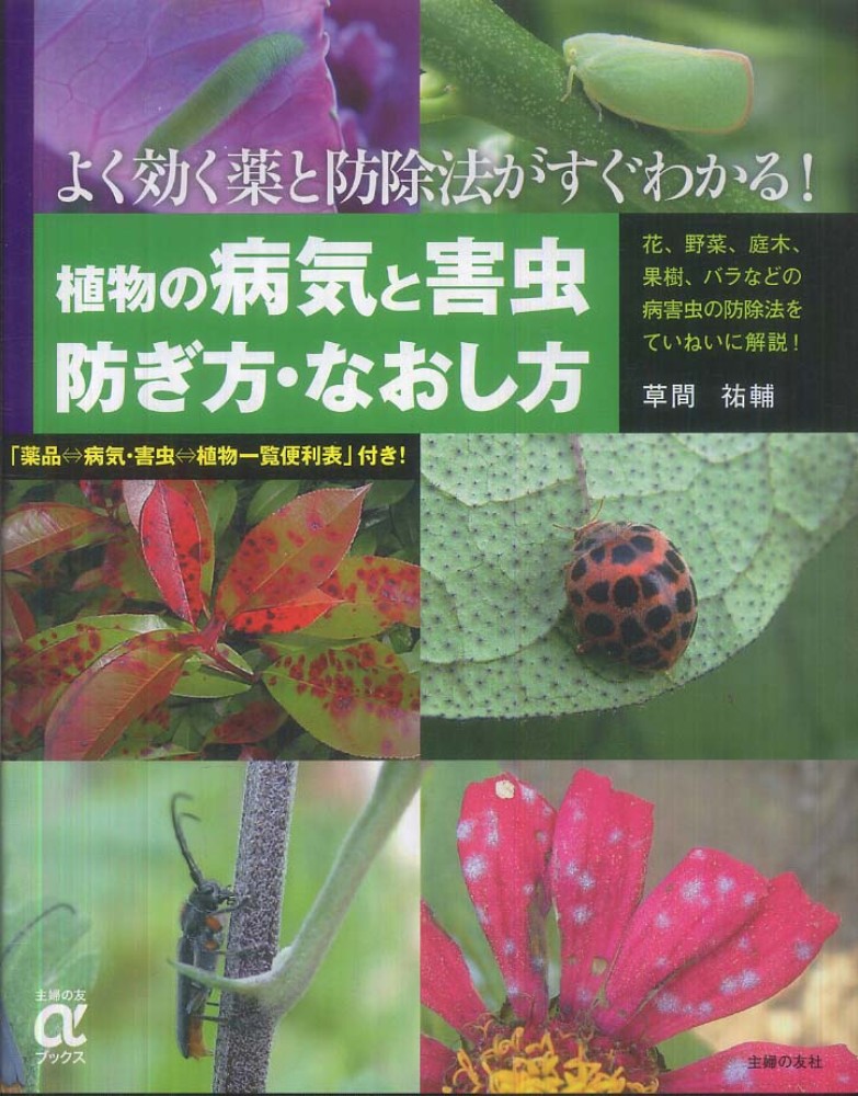 植物の病気と害虫防ぎ方 なおし方 草間 祐輔 著 紀伊國屋書店ウェブストア オンライン書店 本 雑誌の通販 電子書籍ストア