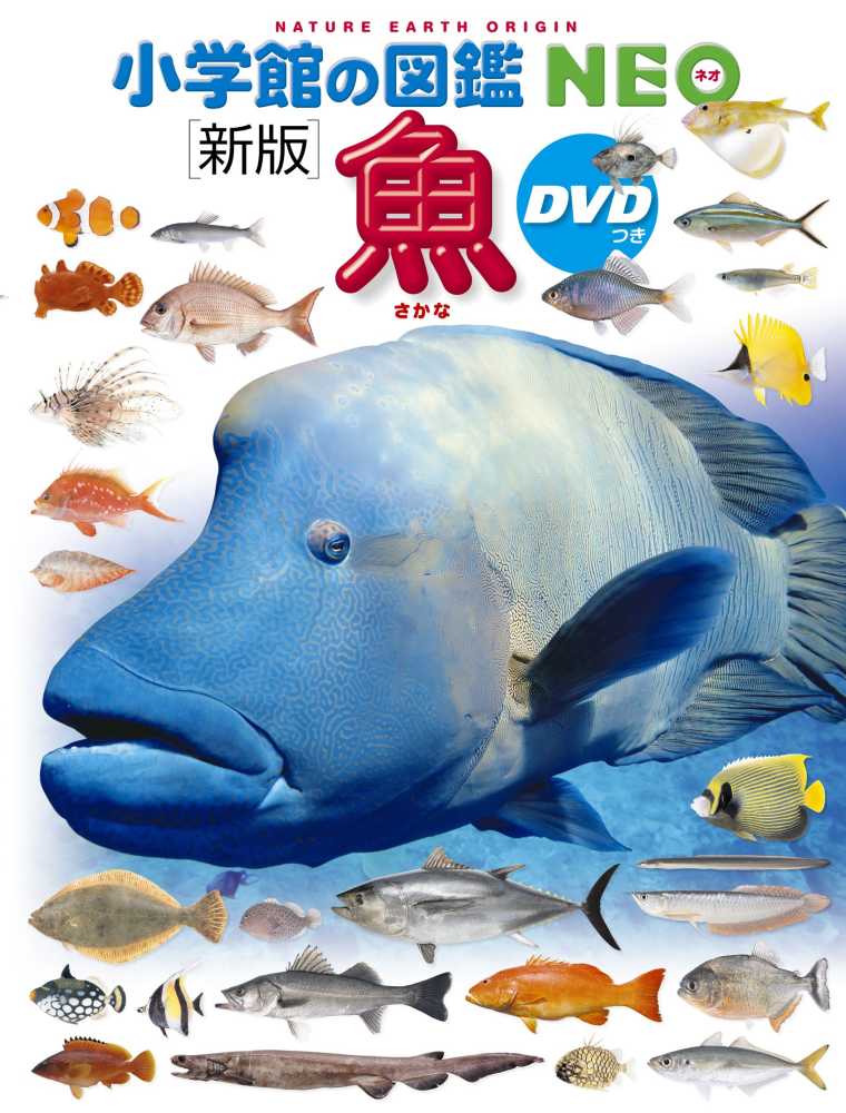 週刊　日本の魚釣り　87冊