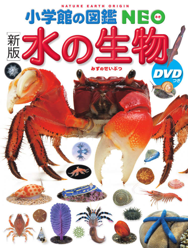 大感謝セール】 【中古】 新編日本動物図鑑 (1979年) 和書 - 和書