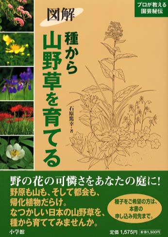 図解種から山野草を育てる 石原 篤幸 著 紀伊國屋書店ウェブストア オンライン書店 本 雑誌の通販 電子書籍ストア