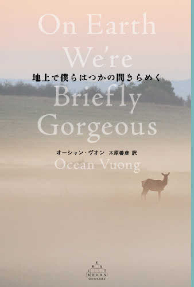地上で僕らはつかの間きらめく ヴオン オーシャン 著 ｖｕｏｎｇ ｏｃｅａｎ 木原 善彦 訳 紀伊國屋書店ウェブストア オンライン書店 本 雑誌の通販 電子書籍ストア