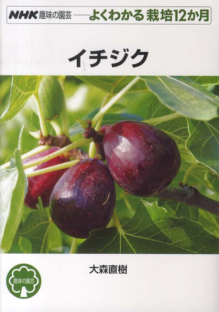 イチジク 大森 直樹 著 紀伊國屋書店ウェブストア オンライン書店 本 雑誌の通販 電子書籍ストア