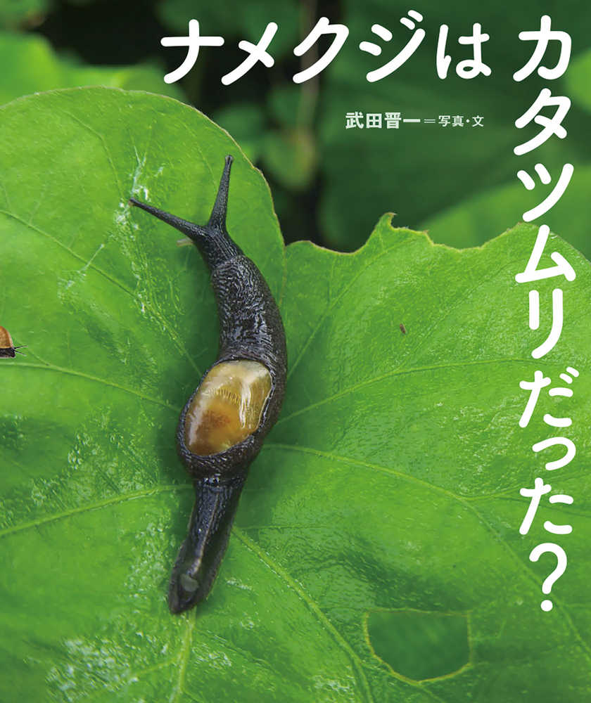 ナメクジはカタツムリだった 武田 晋一 写真 文 紀伊國屋書店ウェブストア オンライン書店 本 雑誌の通販 電子書籍ストア