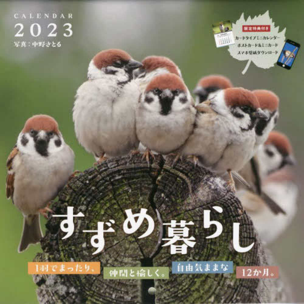 すずめ暮らしＣＡＬＥＮＤＡＲ ２０２３ / 中野さとる - 紀伊國屋書店ウェブストア｜オンライン書店｜本、雑誌の通販、電子書籍ストア