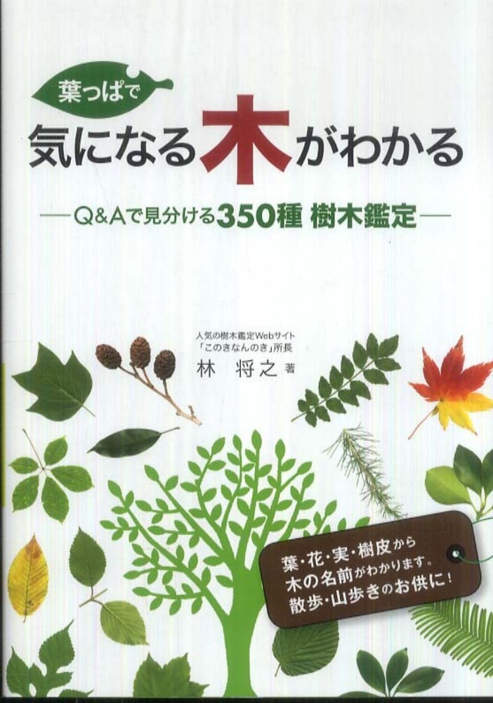 葉っぱで気になる木がわかる 林 将之 著 紀伊國屋書店ウェブストア オンライン書店 本 雑誌の通販 電子書籍ストア 葉っぱで気になる木がわかる 林 将之 著 紀伊國屋書店ウェブストア オンライン書店 本 雑誌の通販 電子書籍ストア