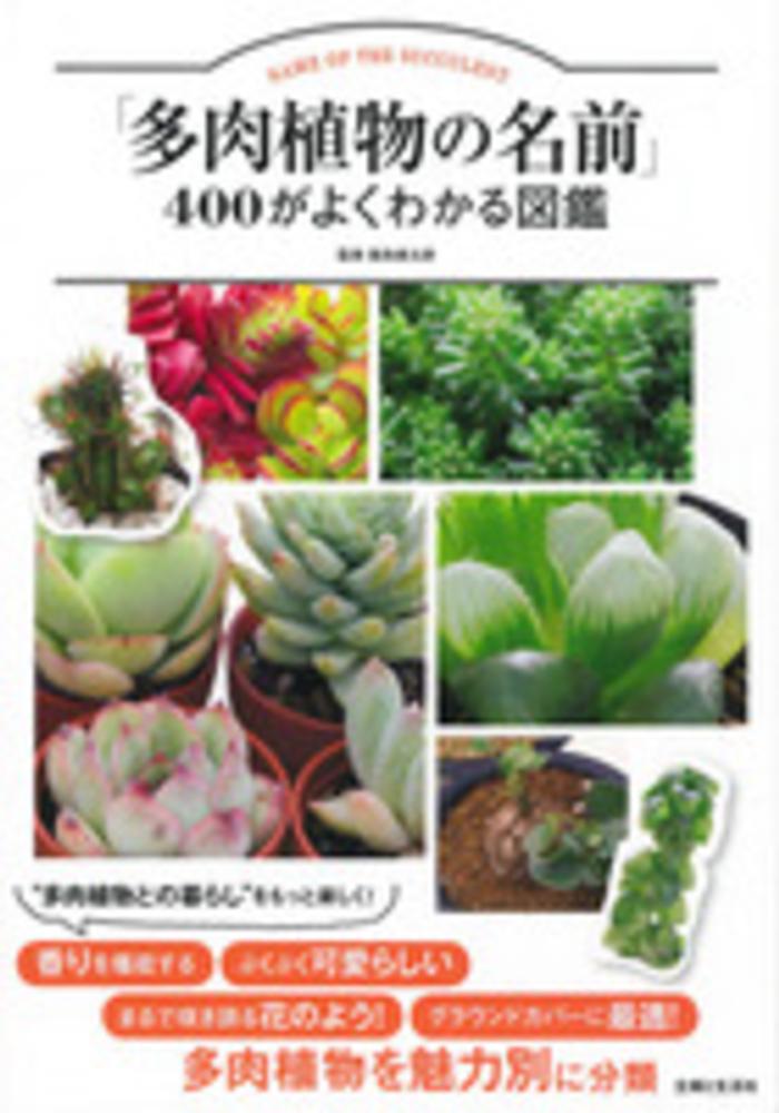 多肉植物の名前 ４００がよくわかる図鑑 飯島 健太郎 監修 紀伊國屋書店ウェブストア オンライン書店 本 雑誌の通販 電子書籍ストア