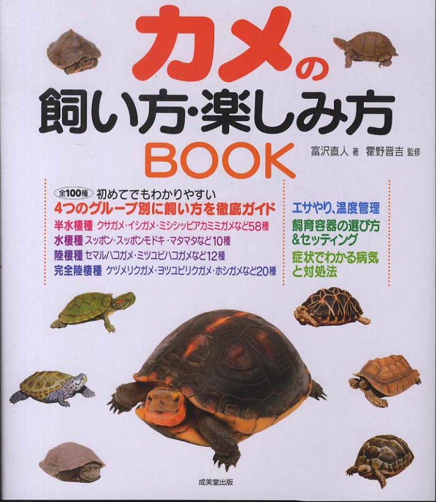 カメの飼い方・楽しみ方BOOK / 富沢 直人【著】/〓野 晋吉