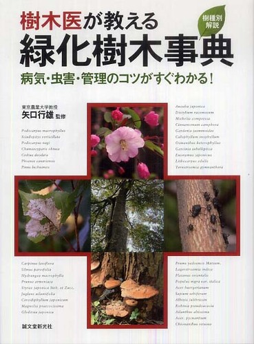 樹木医が教える緑化樹木事典 / 矢口 行雄【監修】 - 紀伊國屋