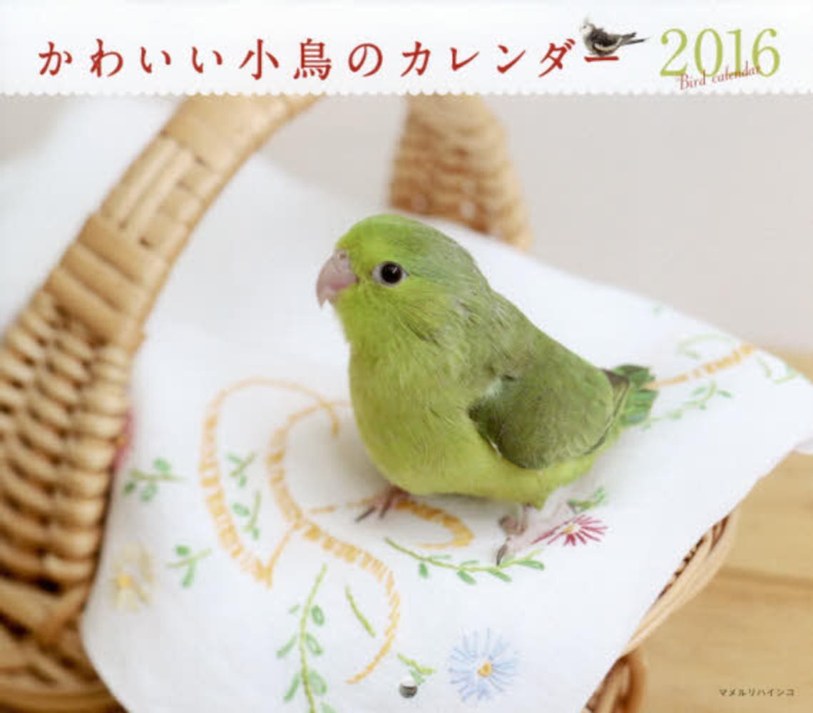 ミニカレンダ かわいい小鳥のカレンダ 2016 蜂巣文香 紀伊國屋書店ウェブストア オンライン書店 本 雑誌の通販 電子書籍ストア ミニカレンダ かわいい小鳥のカレンダ 2016 蜂巣文香 紀伊國屋書店ウェブストア オンライン書店 本 雑誌の通販 電子書籍ストア