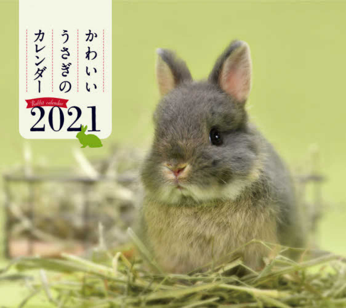 ミニ判カレンダ かわいいうさぎのカレンダ 2021年 井川俊彦 紀伊國屋書店ウェブストア オンライン書店 本 雑誌の通販 電子書籍ストア ミニ判カレンダ かわいいうさぎのカレンダ 2021年 井川俊彦 紀伊國屋書店ウェブストア オンライン書店 本 雑誌の通販 電子書籍ストア