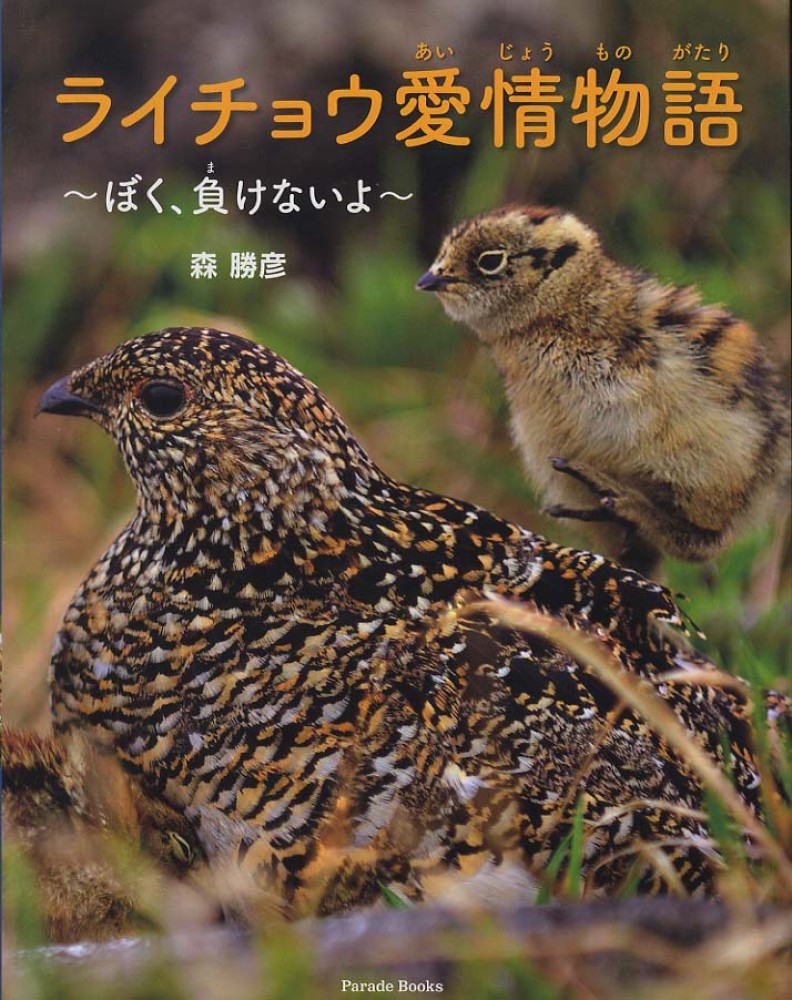 ライチョウ愛情物語 森 勝彦 著 紀伊國屋書店ウェブストア オンライン書店 本 雑誌の通販 電子書籍ストア ライチョウ愛情物語 森 勝彦 著 紀伊國屋書店ウェブストア オンライン書店 本 雑誌の通販 電子書籍ストア