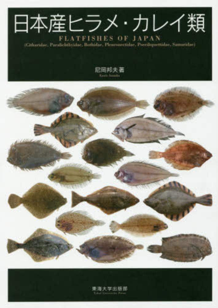 日本産ヒラメ カレイ類 尼岡 邦夫 編 紀伊國屋書店ウェブストア オンライン書店 本 雑誌の通販 電子書籍ストア