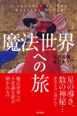 魔法世界への旅 天沼 春樹 水月 ルツ 著 紀伊國屋書店ウェブストア オンライン書店 本 雑誌の通販 電子書籍ストア 魔法世界への旅 天沼 春樹 水月 ルツ 著 紀伊國屋書店ウェブストア オンライン書店 本 雑誌の通販 電子書籍ストア