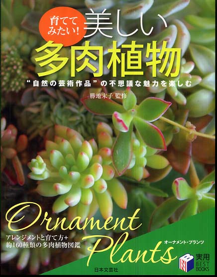 育ててみたい 美しい多肉植物 勝地 末子 監修 紀伊國屋書店ウェブストア オンライン書店 本 雑誌の通販 電子書籍ストア