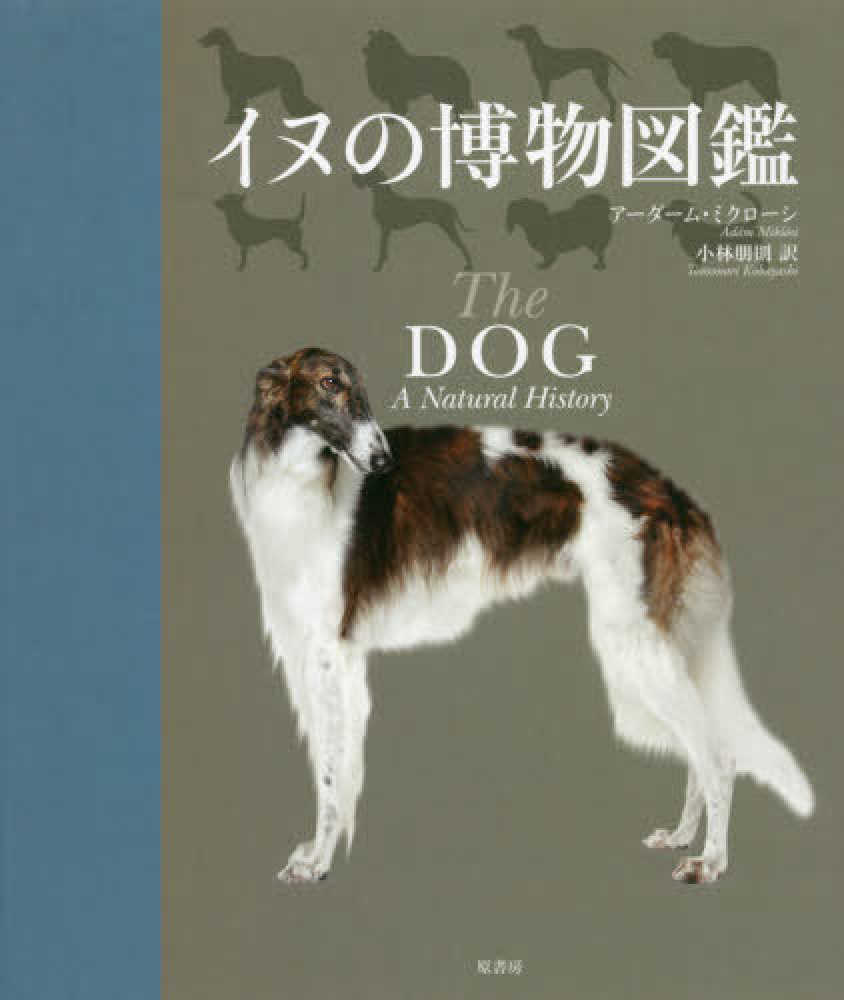 イヌの博物図鑑 / ミクローシ，アーダーム【編】〈Mikl´osi