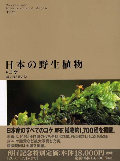 日本の野生植物 コケ