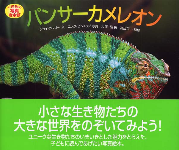 パンサ カメレオン カウリー ジョイ 文 cowley joy ビショップ ニック 写真 bishop nic 大澤 晶 訳 富田 京一 監修 紀伊國屋書店ウェブストア オンライン書店 本 雑誌の通販 電子書籍ストア パンサ カメレオン カウリー ジョイ 文 cowley joy ビショップ ニック 写真 bishop nic 大澤 晶 訳 富田 京一 監修 紀伊國屋書店ウェブストア オンライン書店 本 雑誌の通販 電子書籍ストア