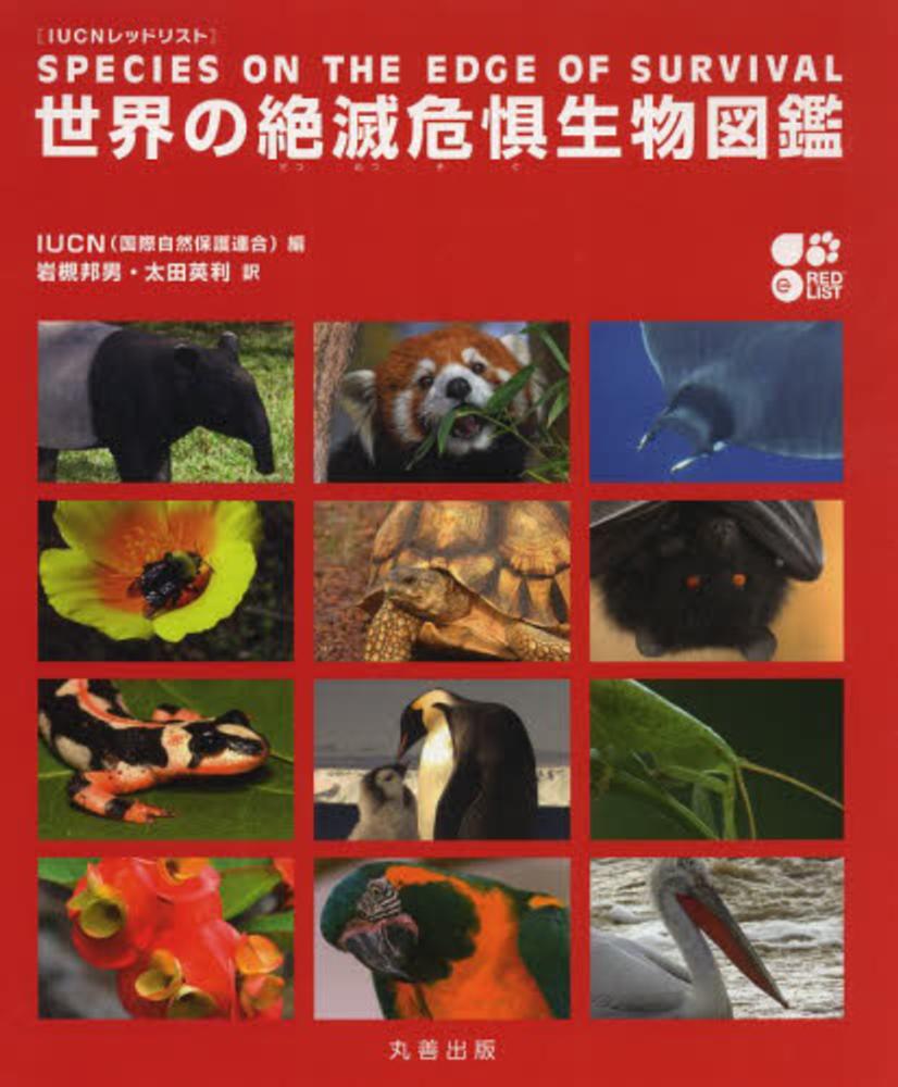 世界の絶滅危惧生物図鑑 ｉｕｃｎ 編 岩槻 邦男 太田 英利 訳 紀伊國屋書店ウェブストア オンライン書店 本 雑誌の通販 電子書籍ストア