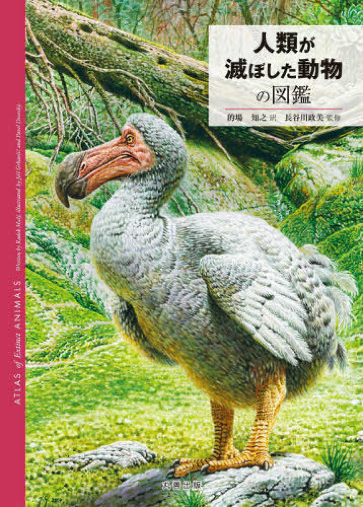 絶滅生物図誌 | チョーヒカル |本 | 通販 | Amazon