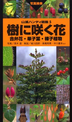 樹に咲く花 合弁花・単子葉・裸子植物 / 茂木 透【写真】/高橋