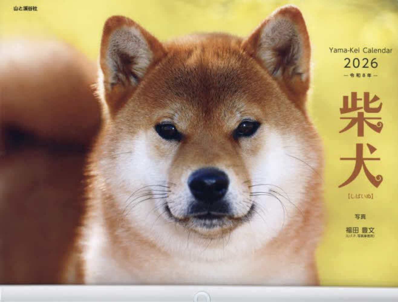 柴犬カレンダ－ 2026 - 紀伊國屋書店ウェブストア｜オンライン書店