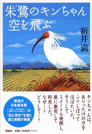 リロンシヤページ数朱鷺のキンちゃん空を飛ぶ/理論社/新井満