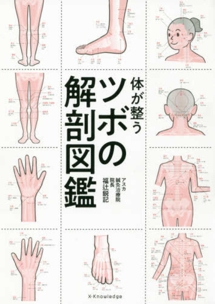 体が整うツボの解剖図鑑 / 福辻 鋭記【著】 - 紀伊國屋書店