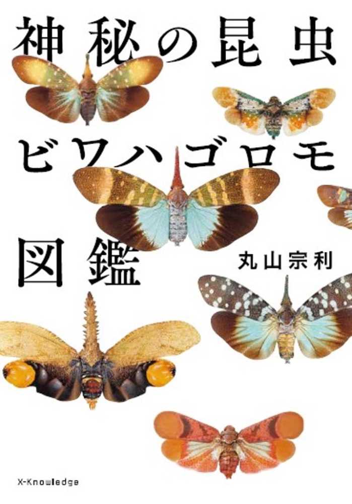 北海道の蝶と蛾 昆虫図鑑 - ノンフィクション・教養