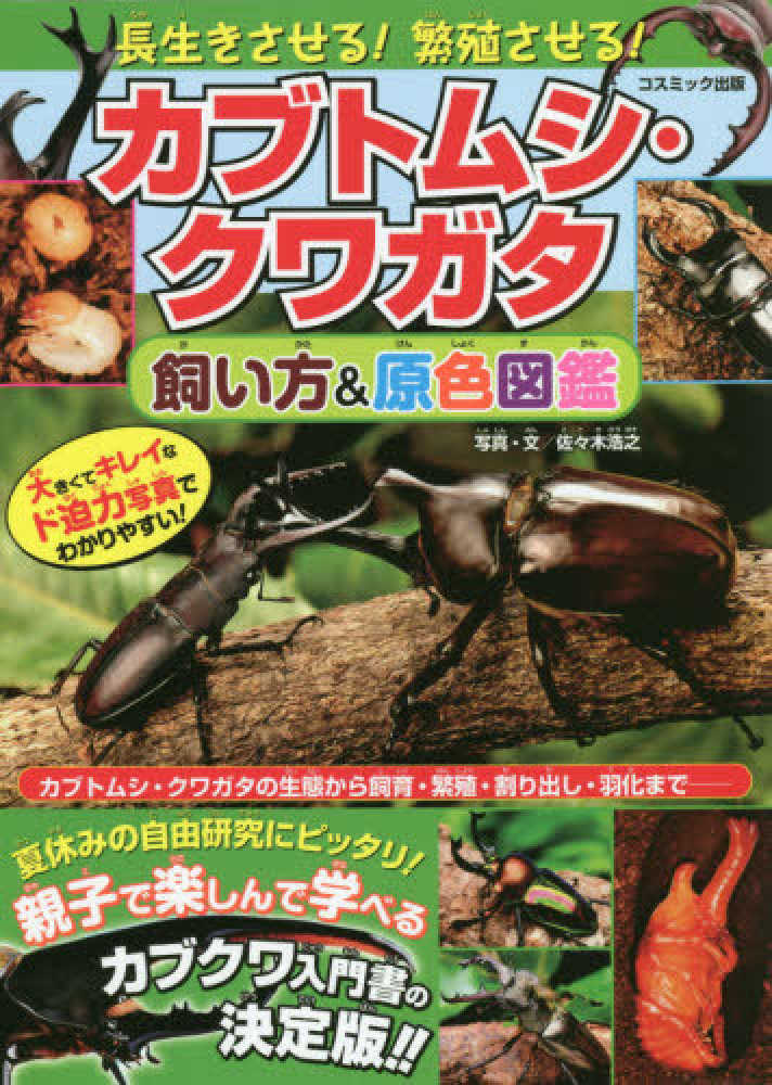 カブトムシ クワガタ飼い方 原色図鑑 佐々木 浩之 写真 文 紀伊國屋書店ウェブストア オンライン書店 本 雑誌の通販 電子書籍ストア