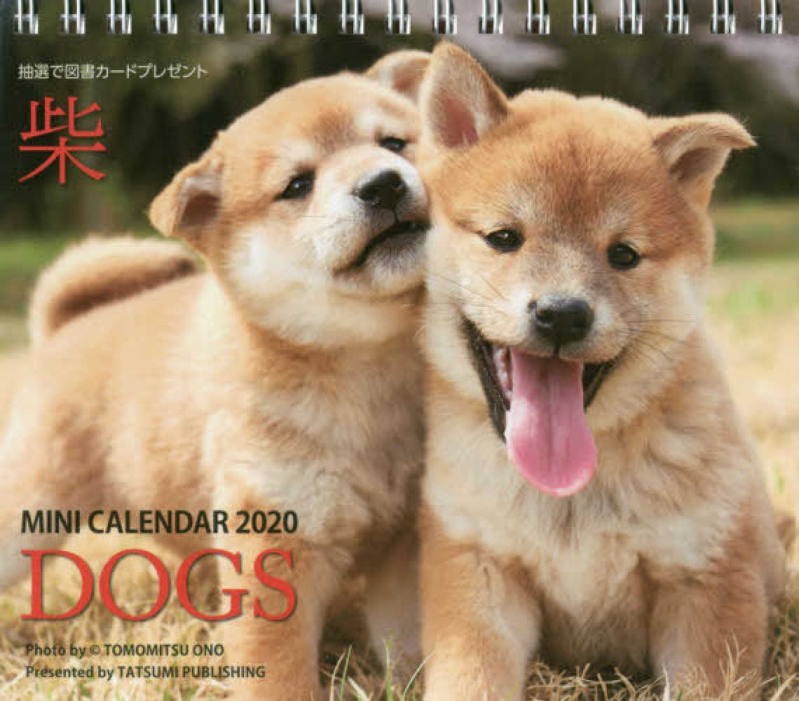 ミニカレンダ ドッグズ 柴 ２０２０ 紀伊國屋書店ウェブストア オンライン書店 本 雑誌の通販 電子書籍ストア