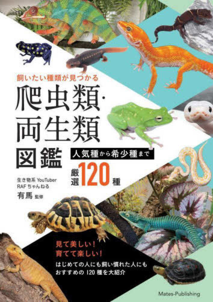 うのにもお得な情報満載！ 飼いたい種類が見つかる 爬虫類・両生類図鑑 人気種から希少種 その他