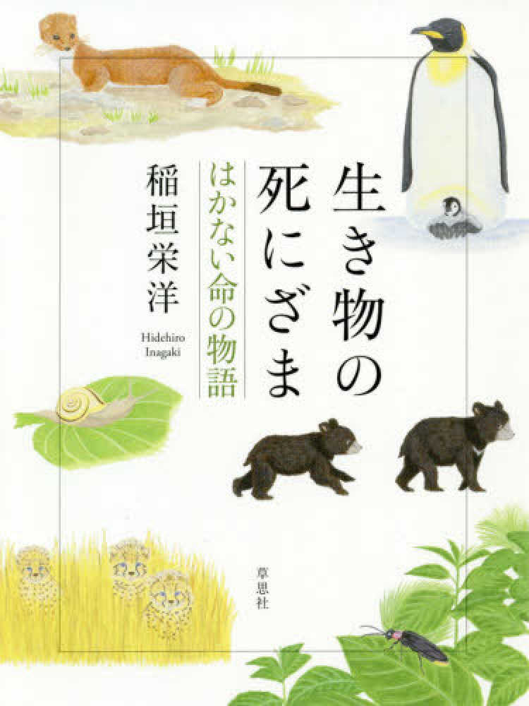 正規販売店] せつない いきものの死に方図鑑 seedpotatoes.com.au