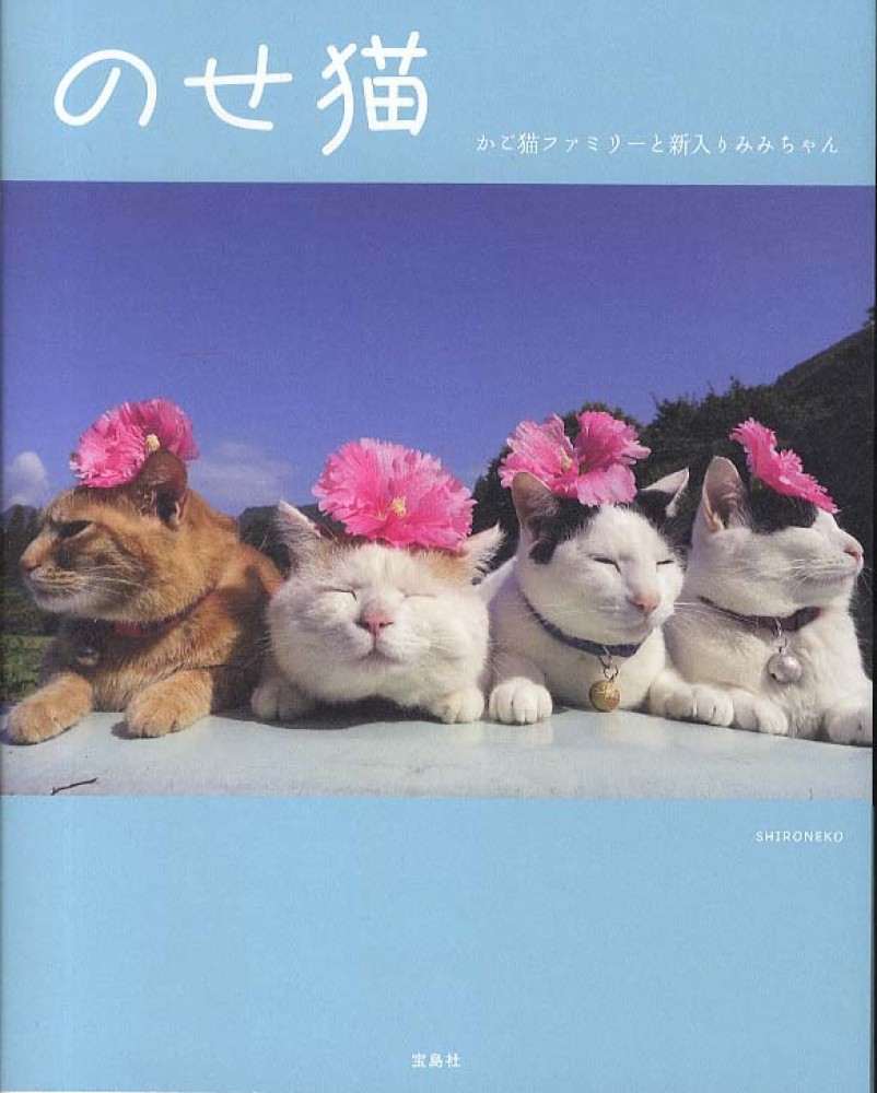 のせ猫 かご猫ファミリ と新入りみみち shironeko 著 紀伊國屋書店ウェブストア オンライン書店 本 雑誌の通販 電子書籍ストア のせ猫 かご猫ファミリ と新入りみみち shironeko 著 紀伊國屋書店ウェブストア オンライン書店 本 雑誌の通販 電子書籍ストア
