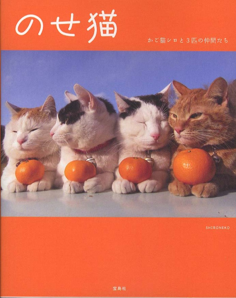 tw様予約 絵画「三匹の猫〜まるごとメロンケーキ／天丼でかくれんぼ」「オセロ猫」 原画「三匹の猫〜いちごショートケーキでかくれんぼ」猫/アート